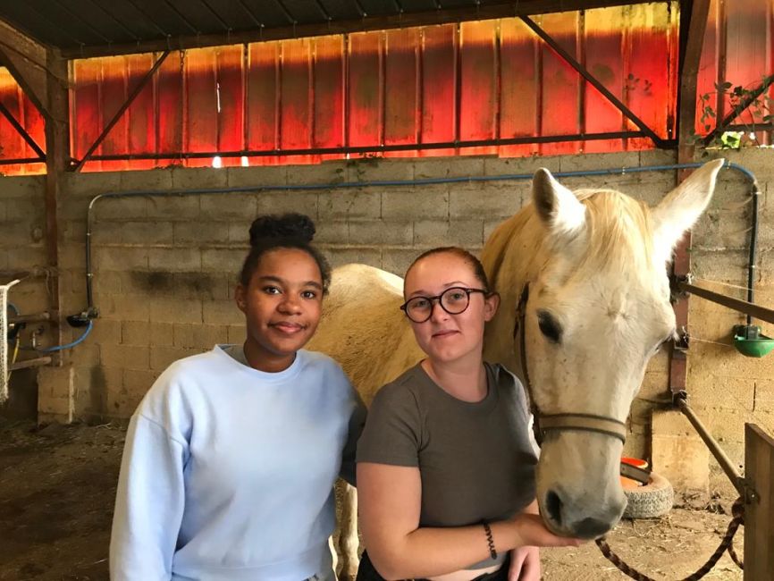 Ateliers vie quotidienne - Soins aux animaux