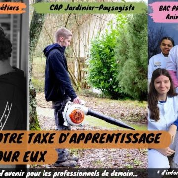 TAXE APPRENTISSAGE 2025